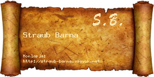 Straub Barna névjegykártya